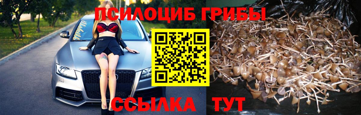 Галлюциногенные грибы ЛСД  Вход с VPN  закладки  Ростов-на-Дону 